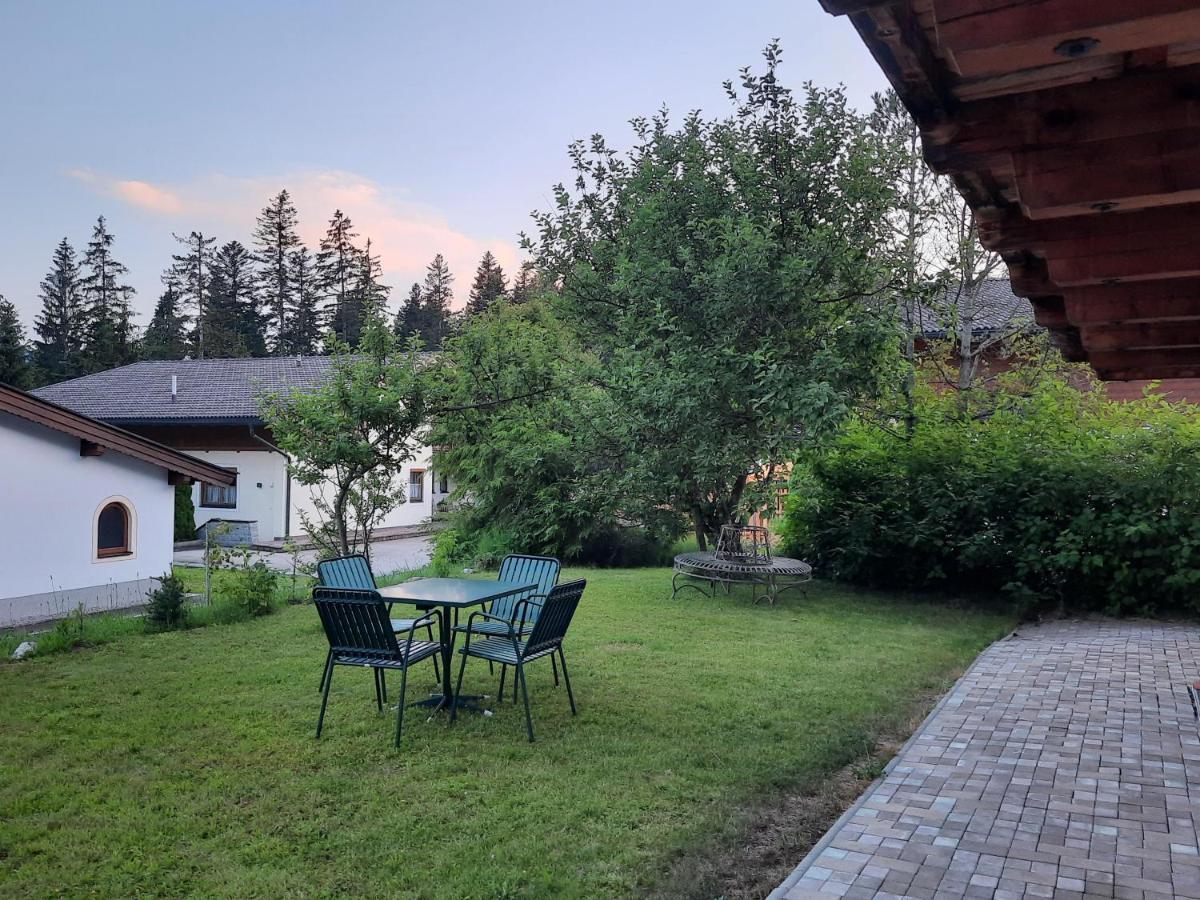 Ferienwohnung Erhart Scheffau 쉐파우암윌던카이저 외부 사진