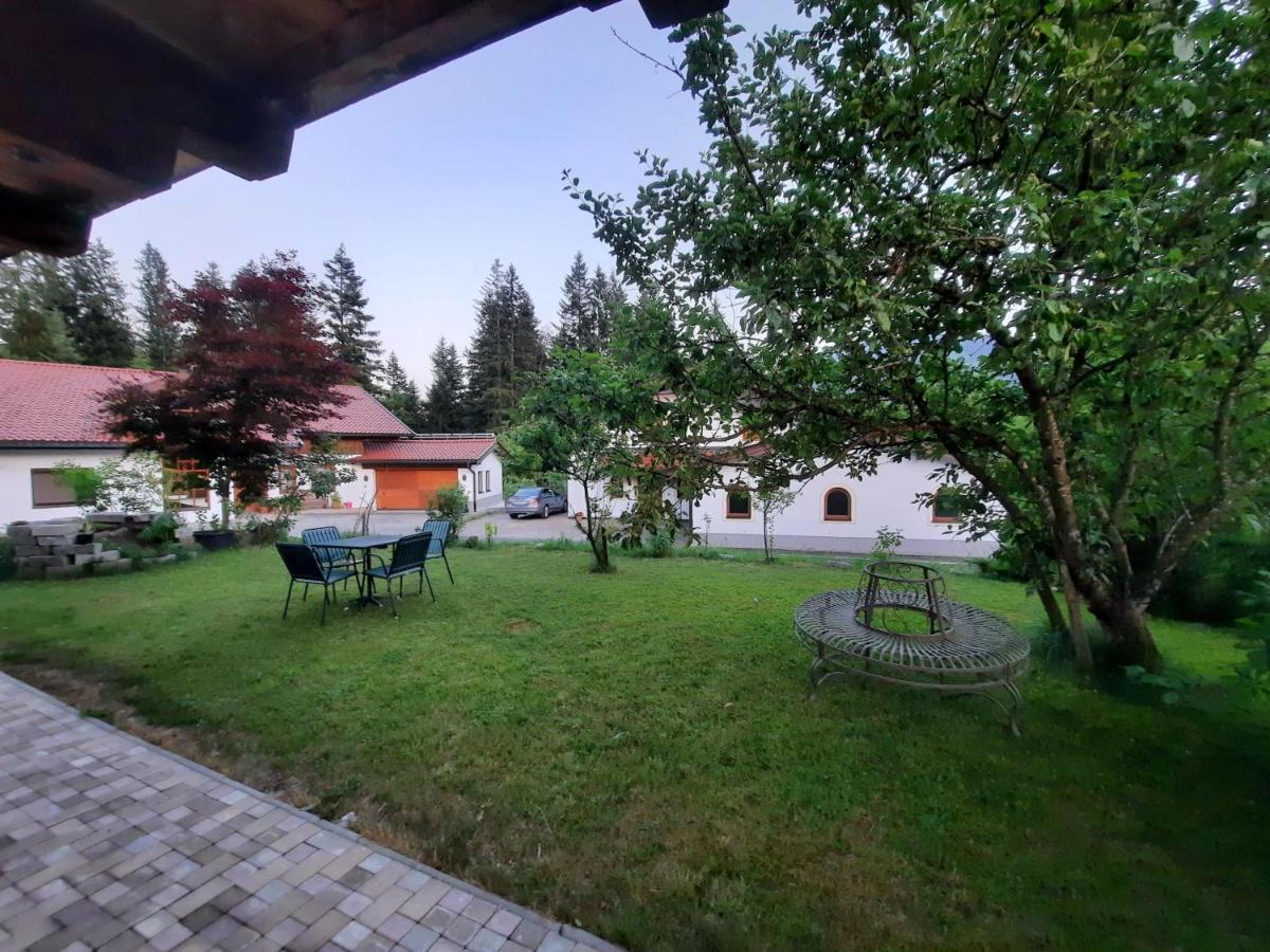 Ferienwohnung Erhart Scheffau 쉐파우암윌던카이저 외부 사진